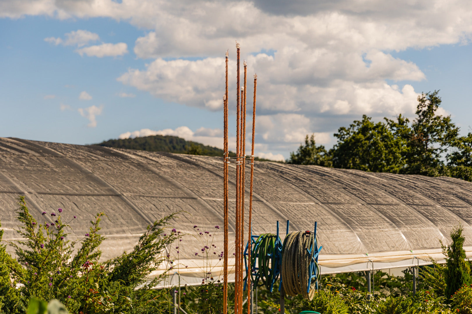 Orgone energy collector cannon