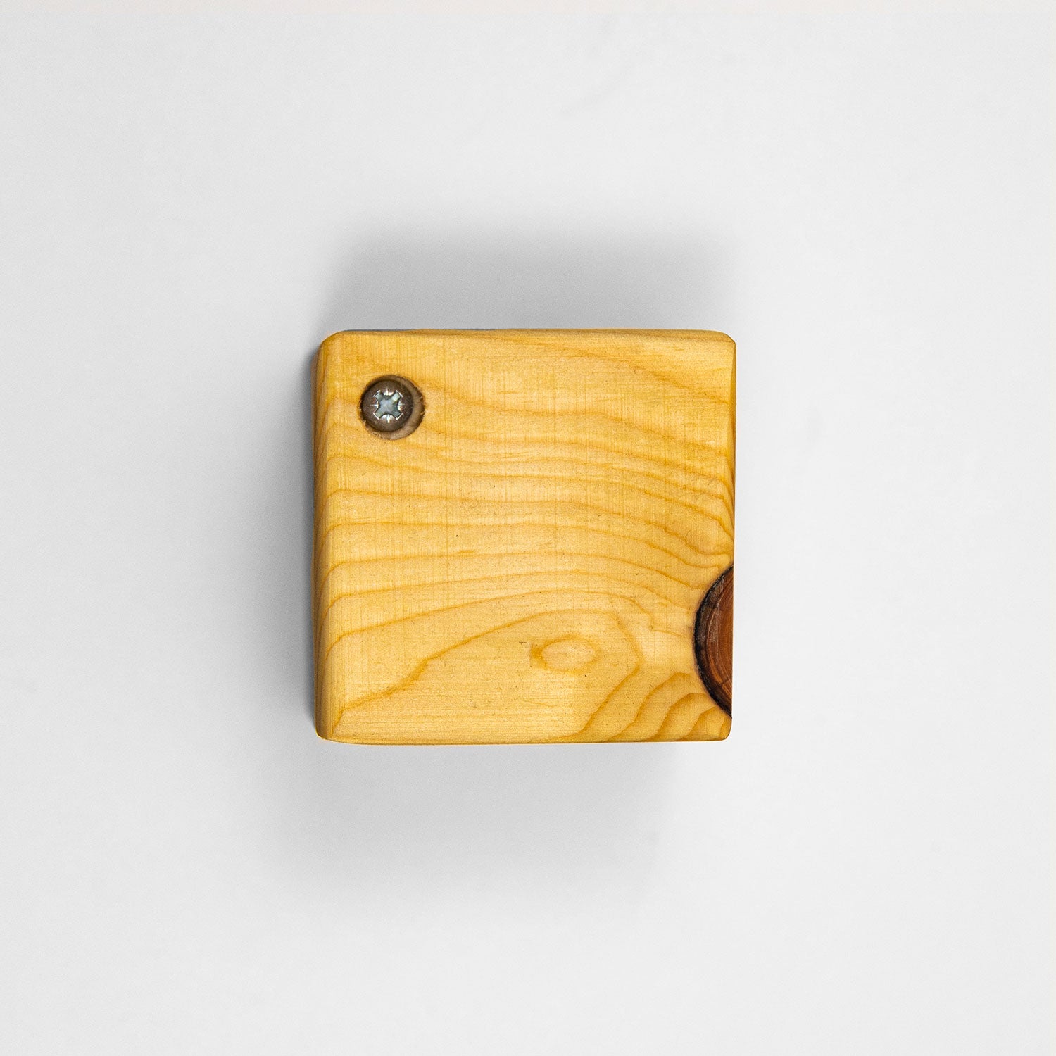 Magnetic water revitalizer